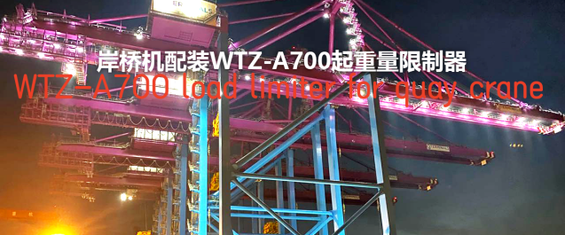 ¡Al servicio del gran país! Los productos Weite se utilizan para respaldar el primer conjunto de grúas pórtico de dos vigas de 3600 toneladas del mundo.