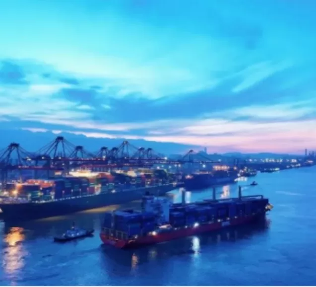 El sistema de pesaje dinámico de Weite ayuda a la empresa Xiamen Yuanhai Terminal a actualizar su grúa pórtico a inteligente