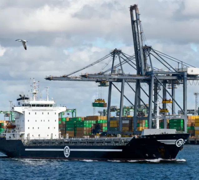 La naviera Monaco Shipping Company Andromeda encargó el sensor de peso para tope de cadena de 550 t de WTAU.